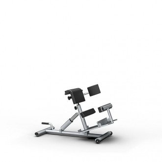 Скамья для гиперэкстензии Proxomed Compass MTT Trunk Trainer Combi в Минске