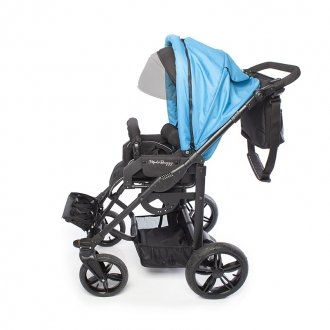 Детская прогулочная коляска ДЦП Liwcare Modi Buggy на раме Rico в Минске