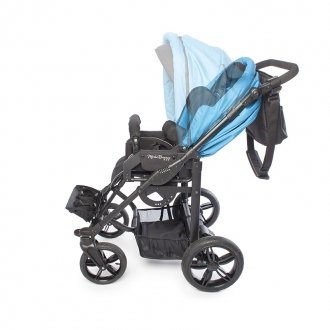 Детская прогулочная коляска ДЦП Liwcare Modi Buggy на раме Rico в Минске
