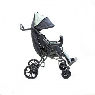 Детская прогулочная коляска ДЦП ЗСО Vita Buggy 7450 в Минске