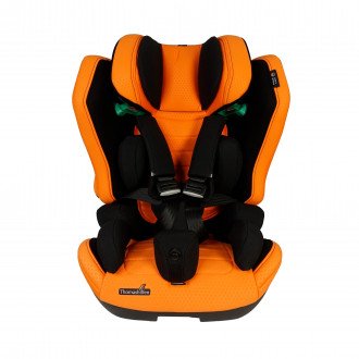 Детское автомобильное кресло ДЦП Thomashilfen RECARO Axion 1 Reha в Минске