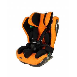 Детское автомобильное кресло ДЦП Thomashilfen RECARO Axion 1 Reha в Минске