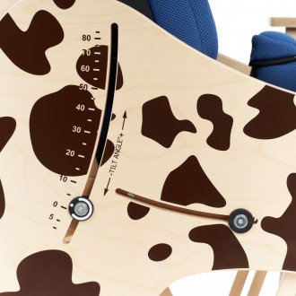 Детская комнатная кресло-коляска Akcesmed Dalmatian Invanto Dt-2 в Минске