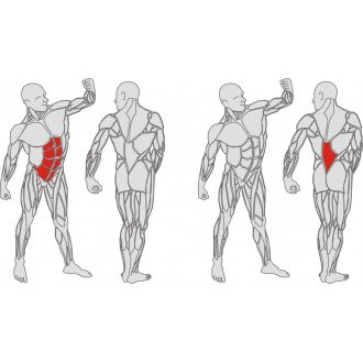 Тренажёр механотерапевтический для мышц пресса и спины Hur Rehabilitation 5310 в Минске