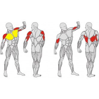 Тренажёр механотерапевтический для мышц груди, спины и рук Hur Rehabilitation 5120 в Минске