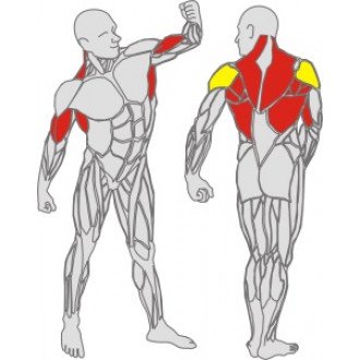 Тренажёр механотерапевтический для рук и спины Hur Rehabilitation 5175 в Минске
