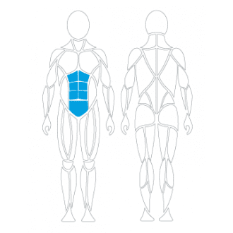 Тренажёр механотерапевтический для пресса David Abdominal Crunch G130 в Минске