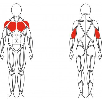 Тренажёр механотерапевтический для мышц груди David Chest Press G510 в Минске