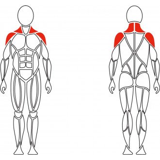 Тренажер механотерапевтический David Shoulder Concept F620 разведение рук в стороны в Минске